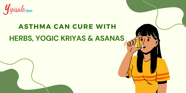 10 Best Ayurvedic Herbal Remedies, Yogic Kriyas, and Yoga Asana for Asthma