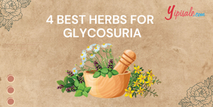 4 Best Ayurvedic Herbs for Glycosuria