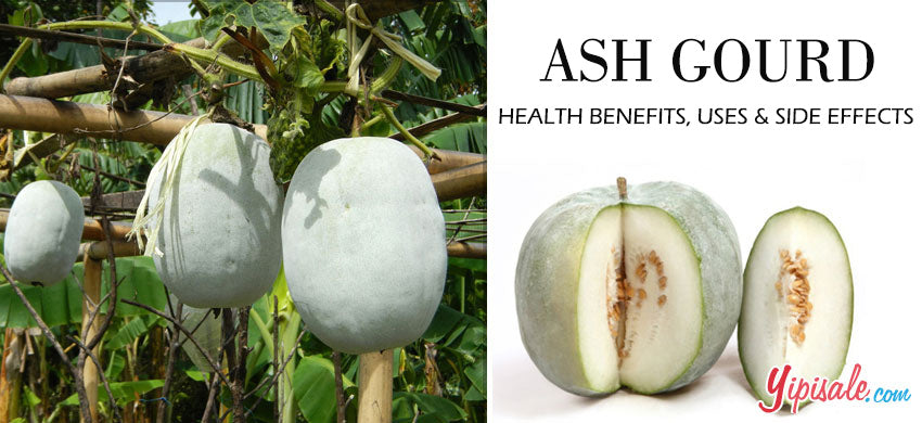 Ash Gourd: The Versatile Vegetable with Amazing Health Benefits and Recipes