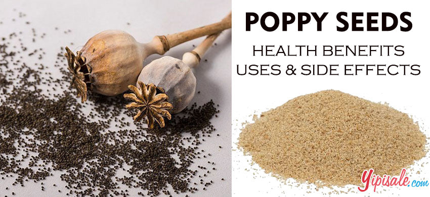 Poppy Seeds – Introduction Health Benefits Uses And Side Effects Of