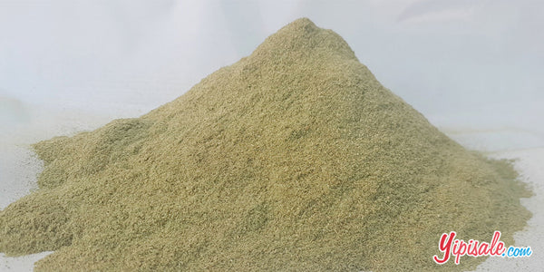Essence Swertia Chirata Powder, Chirayta Powder, Bitter Sticks, Gentiana Chirata