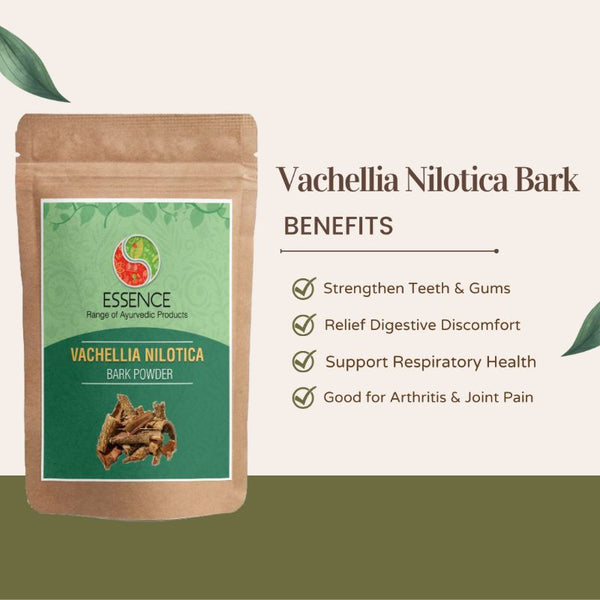 Essence Acacia Nilotica Bark Powder, Babul Chaal, Vachellia Nilotica, Kikar