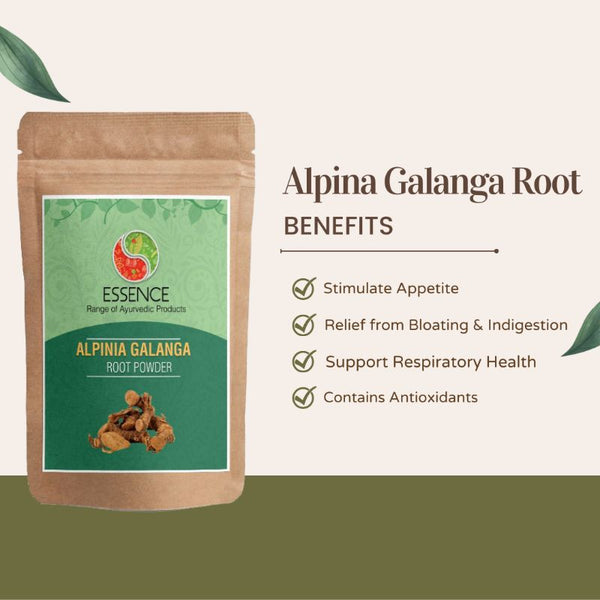 Essence Alpinia Galanga Root Powder, Kulanjan, Greater Galangal, Lengkuas, Blue Ginger