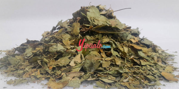 EssenceGymnemaSylvestreDryLeaf_GurmarTea_Shardunika-7oz.to176oz.