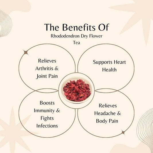 benefits of rhododendron dry flower tea on a beige background