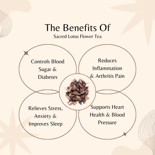 Sacred Lotus Flower Tea | Blood Sugar & Stress Relief | Nelumbo Nucifera Herbal Tea