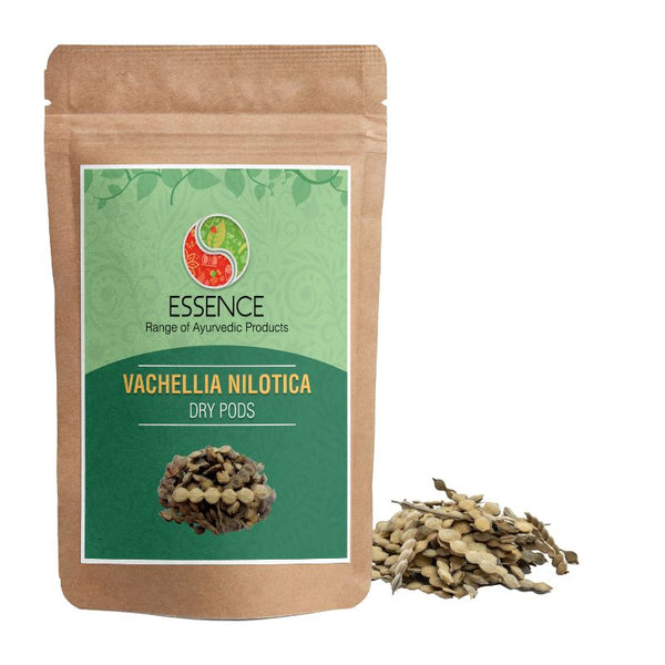 Essence Acacia Nilotica Dry Pods, Babul Phali, Vachellia Nilotica Pods, Kikar