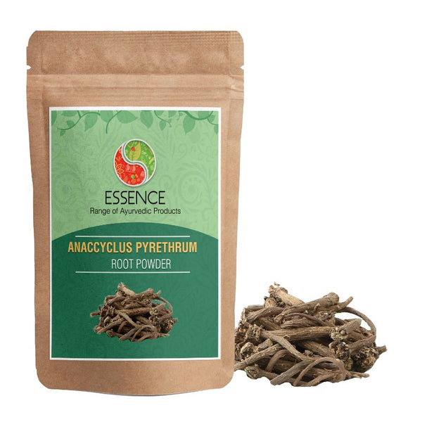 EssenceAnacyclusPyrethrumRootPowder_Akarkara_PellitoryRoot_MountAtlasDaisy