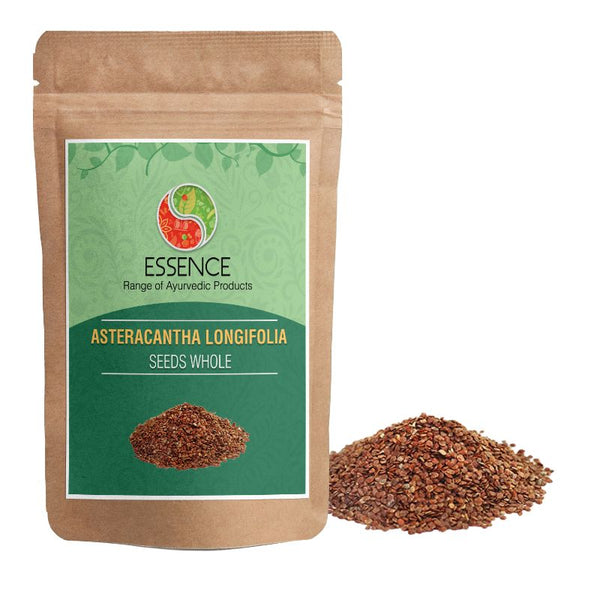 Essence Asteracantha Longifolia Seed Dry, Talmakhana Seed, Hygrophila Auriculata