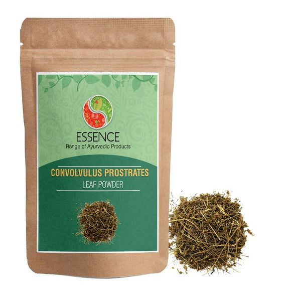 Essence Convolvulus Prostratus Leaf Powder, Shankhpushpi, Morning Glory