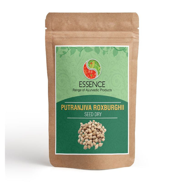 Essence Putranjiva Roxburghii Seed Dry Whole, Putrajeevak Beej, Lucky Bean