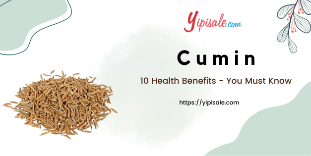 10 Cumin Health Benefits - You Must Know