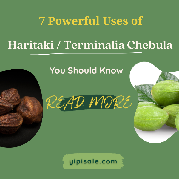 7 Powerful Uses of Harad (Haritaki  Terminalia chebula) You Should Know