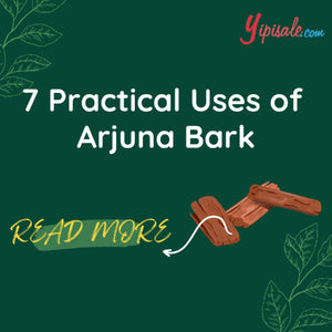 7 Practical Uses of Arjuna Bark for Health & Wellness