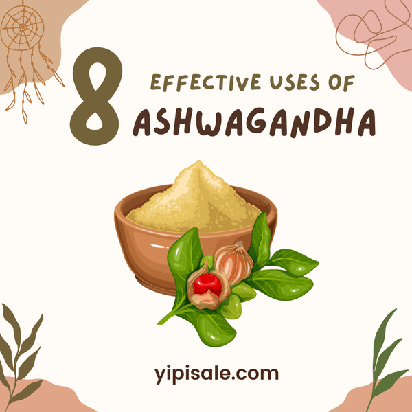 8 Effective Uses of Ashwagandha (Withania Somnifera)