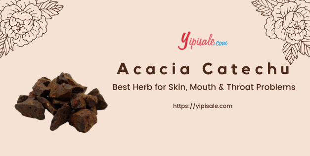 Acacia Catechu Best Herb for Skin, Mouth & Throat Problems (Black Catechu)