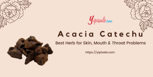 Acacia Catechu: Best Herb for Skin, Mouth & Throat Problems (Black Catechu)
