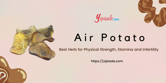Air Potato Best Herb for Physical Strength, Stamina and Infertility (Dioscorea Bulbifera)