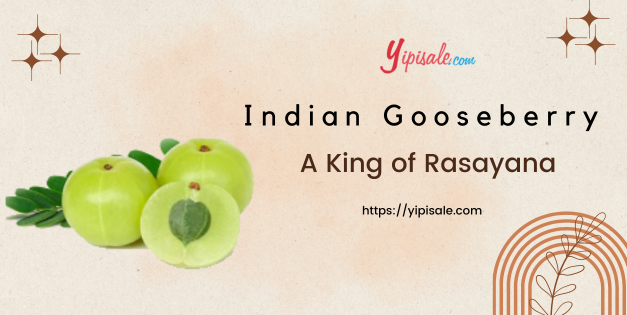 Indian Gooseberry: FAQs and Facts of Amla Fruit - Phyllanthus Emblica Buying & User Guide