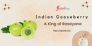 Indian Gooseberry: FAQs and Facts of Amla Fruit - Phyllanthus Emblica Buying & User Guide