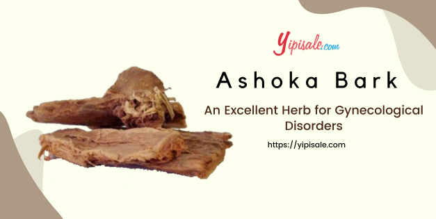 Ashoka Bark: An Excellent Herb for all Gynecological Disorders