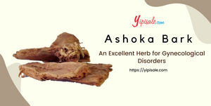 Ashoka Bark: An Excellent Herb for all Gynecological Disorders