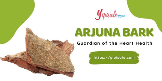 What is Terminalia Arjuna Herb? What are the benefits and how to use it? Arjun Chaal Tea Recipe? – 2022