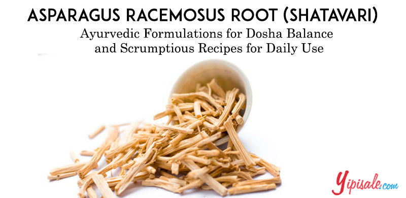 Asparagus Racemosus Root (Shatavari): Ayurvedic Formulations for Dosha Balance and Scrumptious Recipes for Daily Use
