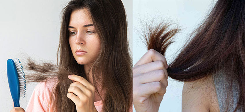 Ayurveda Herbal Home Remedies for Hair Fall, Boils in Scalp, Hair Growth, Hair Loss