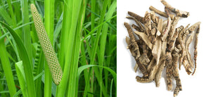 What is Acorus Calamus? Health Benefits, Uses and Side Effects of Sweet Flag, Vacha Tea Recipe