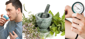 Ayurvedic Herbs: Health Benefits, Uses with Instruction, and Side Effects – 2022