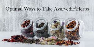 Ayurvedic Herbs: 10 Optimal Ways of Intake for Maximum Benefits