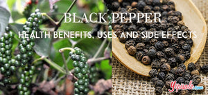Black Pepper – Introduction, Health Benefits, Uses, and Side Effects of Piper Nigrum