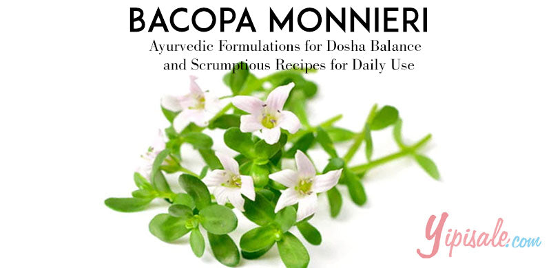Bacopa Monnieri (Brahmi): Ayurvedic Formulations for Dosha Balance and Scrumptious Recipes for Daily Use