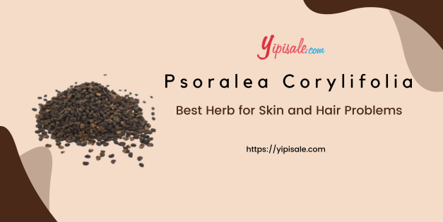 Babchi Seeds Best Herb for Skin and Hair Problems (Psoralea Corylifolia Linn.)