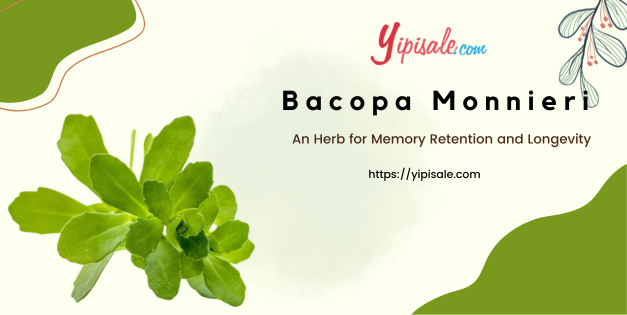 Bacopa Monnieri: An Herb for Memory Retention and Longevity (Brahmi)