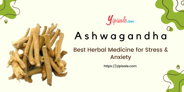 Withania Somnifera: Best Herbal Medicine for Stress & Anxiety (Ashwagandha)