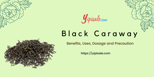 Black Caraway: Benefits, Uses, Dosage and Precaution (Carum Carvi, Kala Jeera)
