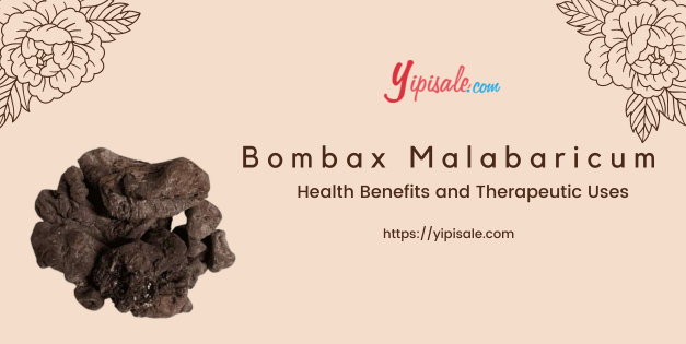 Bombax Malabaricum: Health Benefits and Therapeutic Uses (Semal, Silk ...