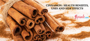 Cinnamon – Introduction, Health Benefits, Uses, and Side Effects of Cinnamomum Verum