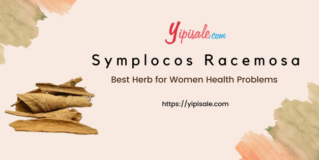 Chunga Health Benefits and Therapeutic Uses (Symplocos Racemosa, Lodhra)