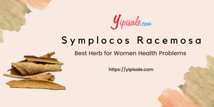 Chunga: Health Benefits and Therapeutic Uses (Symplocos Racemosa, Lodhra)