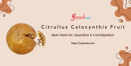 Citrullus Colocynthis Fruit:  Uses and Health Benefits