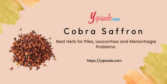 Cobra Saffron: Best Herb for Piles, Leucorrhea and Menorrhagia Problems (Mesua Ferrea)