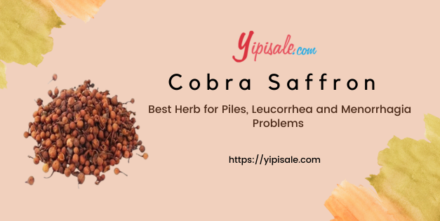 Cobra Saffron: Best Herb for Piles, Leucorrhea and Menorrhagia Problems (Mesua Ferrea)