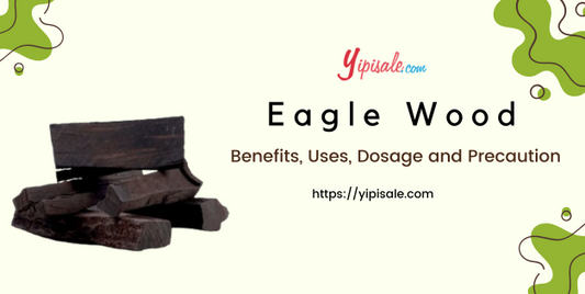 Eagle Wood: Benefits, Uses, Dosage and Precaution (Agar, Aquilaria Agallocha)