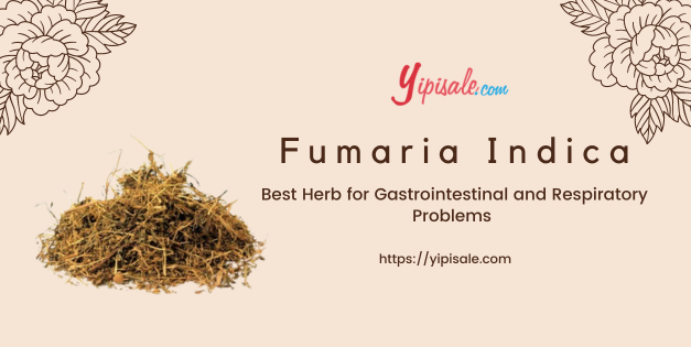 Fumaria Indica: Health Benefits, Uses and Side Effects (Pitta papada)