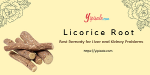 Glycyrrhiza Glabra: Best Remedy for Liver and Kidney Problems (Licorice)