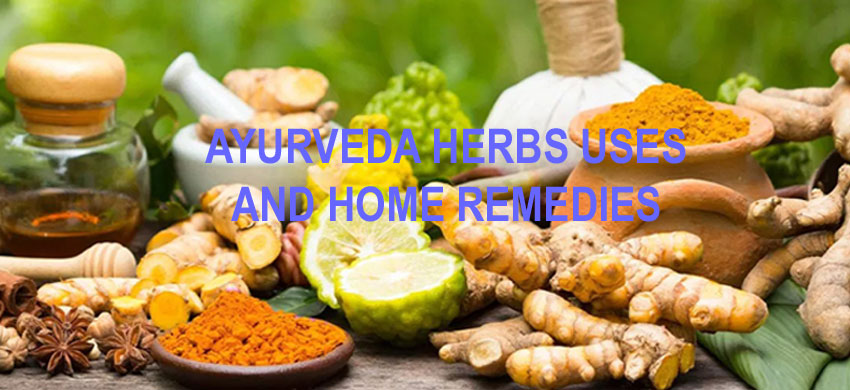 What is Ayurveda? How to use Ayurvedic Medicine / Herbs at Home? Some Easy Herbal Remedies of Ayurvedic Herbs - 2022