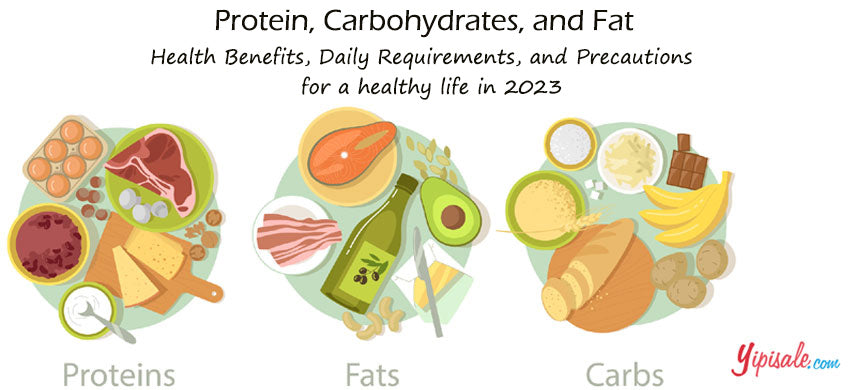 Protein, Carbohydrates, and Fat – Health Benefits, Daily Requirements, and Precautions for a healthy life in 2023